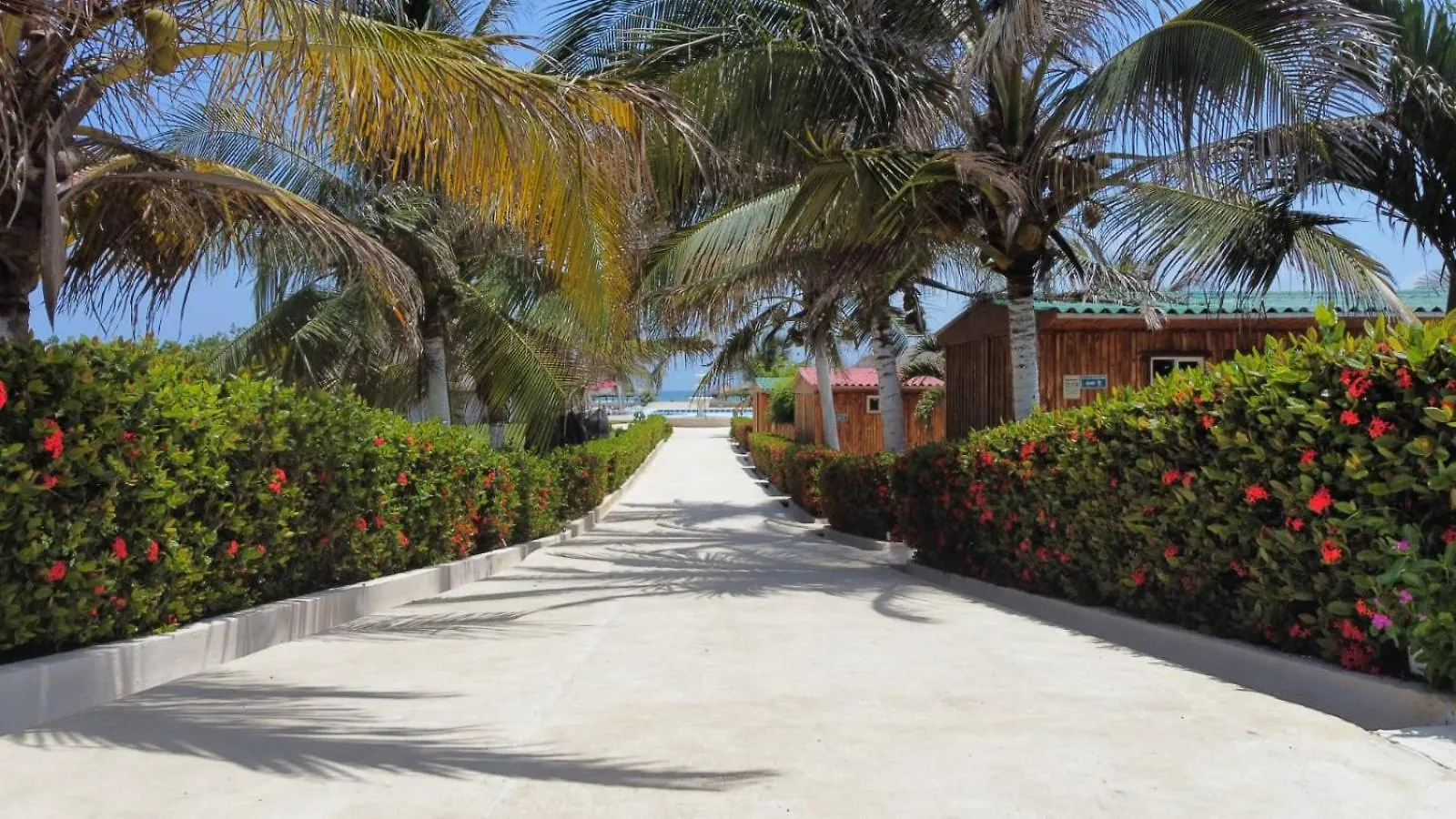 Hotel Arena Beach Cartagena 3*,  Colombia